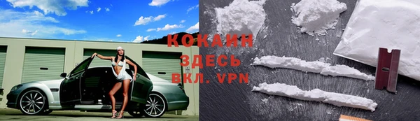 прущие грибы Абаза