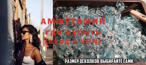 прущие грибы Абаза