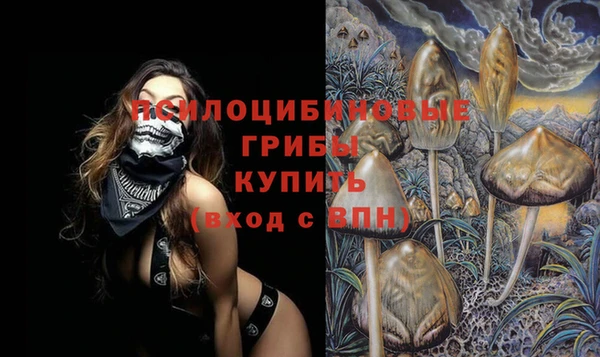 прущие грибы Абаза