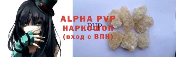 прущие грибы Абаза