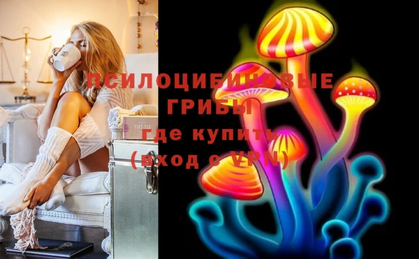 герыч Сатка