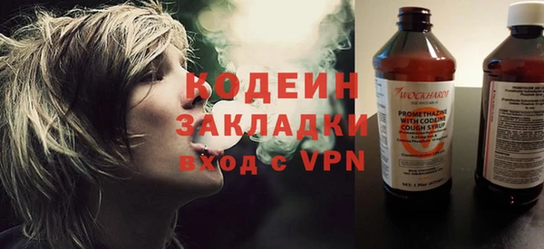 прущие грибы Абаза