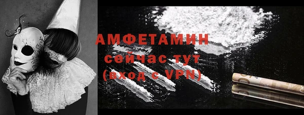 прущие грибы Абаза